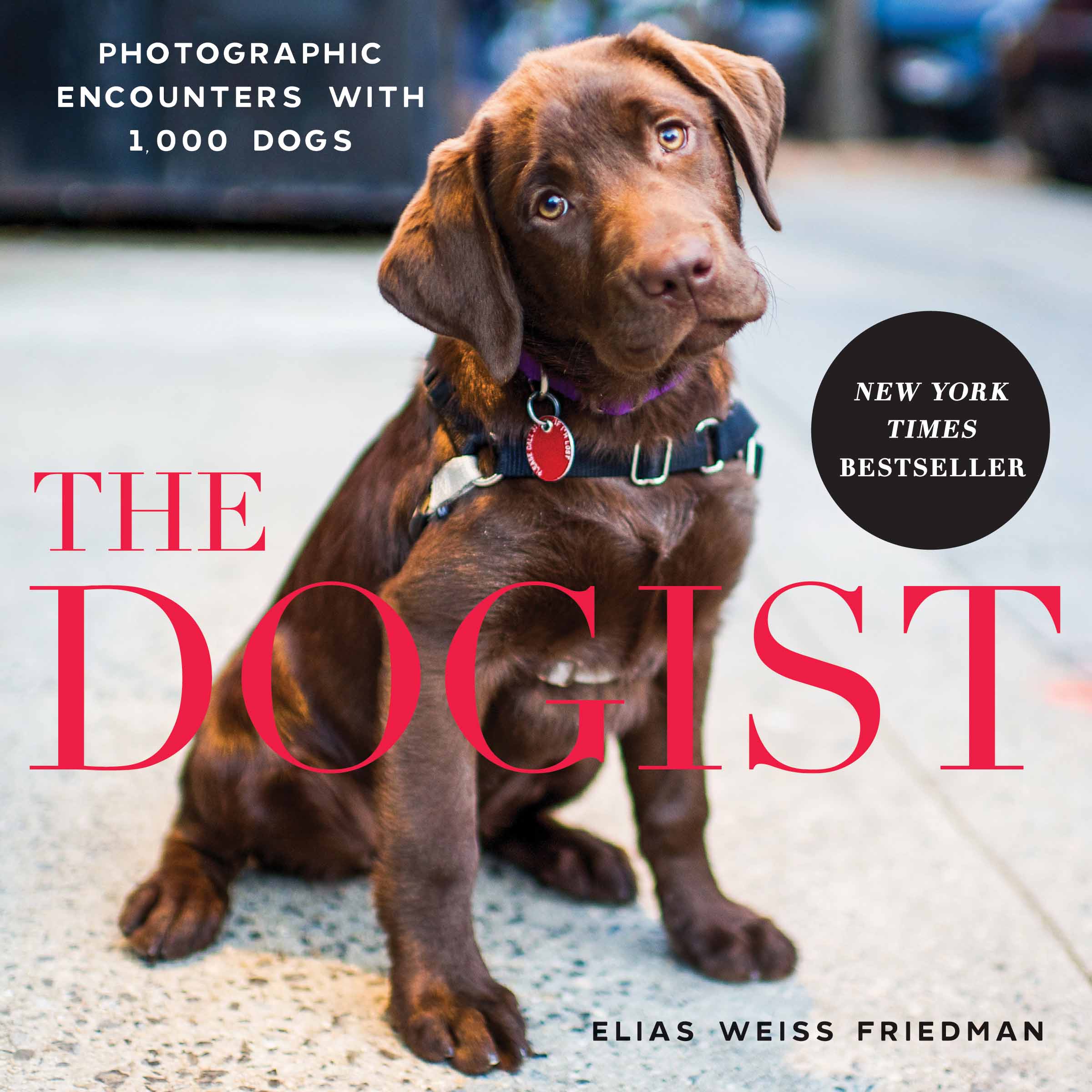 The Dogist Book