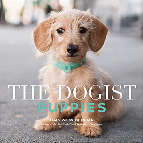 The Dogist Book